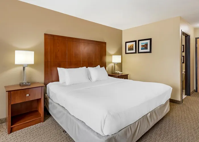 Comfort Inn & Suites East Moline Near I-80